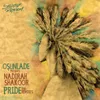 Pride Osunlade's Back To Africa Mix