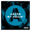 My Feelin' (Tom Gianelli's Heavy Hands Remix)