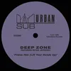 Praise Him (Lift Your Hands Up) [feat. Ceybil Jefferies] The Deepzone Club Mix