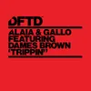 Trippin' (feat. Dames Brown) [Extended Mix]