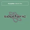 Spirit (feat. J. Soul) [Guy Robin Accapella]