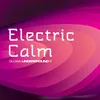 Electric Calm mixed by Trafik