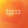 Global Underground - Electric Calm Vol. 4 Continuous Mix
