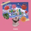 Spring Theory