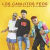 About Los Canijitos Feos Song