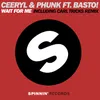 Wait For Me (feat. Basto!) Laurent Pepper Remix