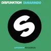 Tamarindo Muzikjunki Remix