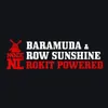 Rokit Powered Row Sunshine Mix