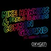 About Common Ground (feat. Gregory Boyd) Song
