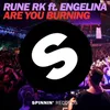 About Are You Burning (feat. Engelina) Radio Edit Song