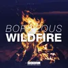 Wildfire Radio Edit
