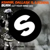 Burn (Let Your Mind Go) (feat. Luciana) Radio Edit