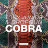 Cobra Radio Edit