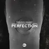 Perfection Extended Mix