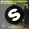 About Can't Forget You (feat. The Nicholas) Song