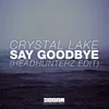 Say Goodbye Headhunterz Edit