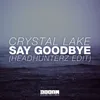 About Say Goodbye Headhunterz Radio Edit Song