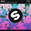 Chances (feat. Brielle Von Hugel) Extended Mix