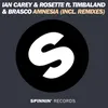 Amnesia (feat. Timbaland & Brasco) CAZZETTE Another Sugar Hunt Mix