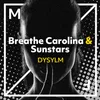About DYSYLM Song