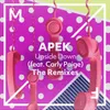 Upside Down (feat. Carly Paige) Sunstars Remix