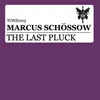 The Last Pluck Dave Schiemann Remix