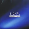 About Signal Song