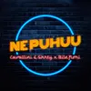 About Ne puhuu (feat. Bile.Fioni) Song