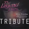 Elvis Has Left the Building Instrumental