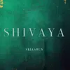 Shivaya