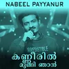 About Kanneeril mungi njan Song