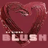 About Blush Song
