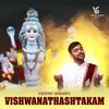 Vishwanadha Astakam by Vikhyat Sairam Burra