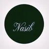 About Nasib Song