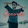 About Senorita Song