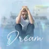 About Dream Song