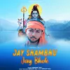 About Jay Shambhu Jay Bhole Song