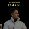 Kaala Dil