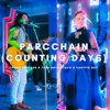 About Parcchain (Counting Days) Song