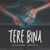 About Tere Bina Song