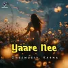 About Yaare Nee Song