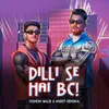 About dilli se hai bc! Song