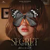 About Secret Song