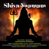 About Shiva Naamam Song