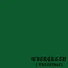 Evergreen(Freestyle)