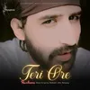 About Teri Ore Song