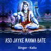 About Aso Jayke Manwa Bate Song