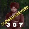 307 Slowed+Reverb