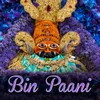 Bin Paani