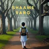 About Shaame Rang Song